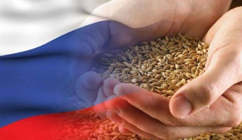أسعار القمح الروسي
