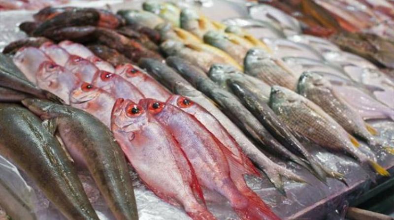 أسعار السمك اليوم الخميس 2 فبراير