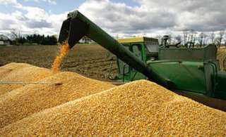 توقعات بانخفاض إنتاج الحبوب في روسيا خلال العام الجاري