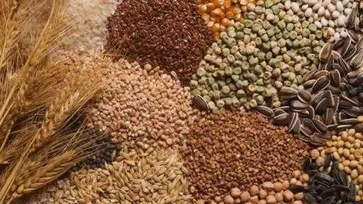 صادرات الحبوب الأوكرانية تتراجع 34.5% منذ بداية الموسم الزراعي 2025/26 صادرات الحبوب الأوكرانية تتراجع 34.5% منذ بداية الموسم الزراعي 2025/26