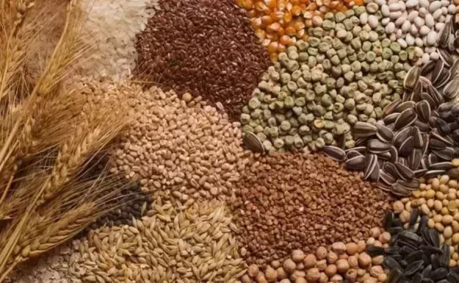 صادرات الحبوب