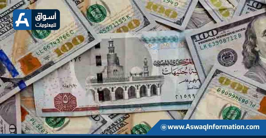 سعر الدولار اليوم