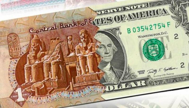 سعر صرف الجنيه مقابل الدولار-أرشيفية