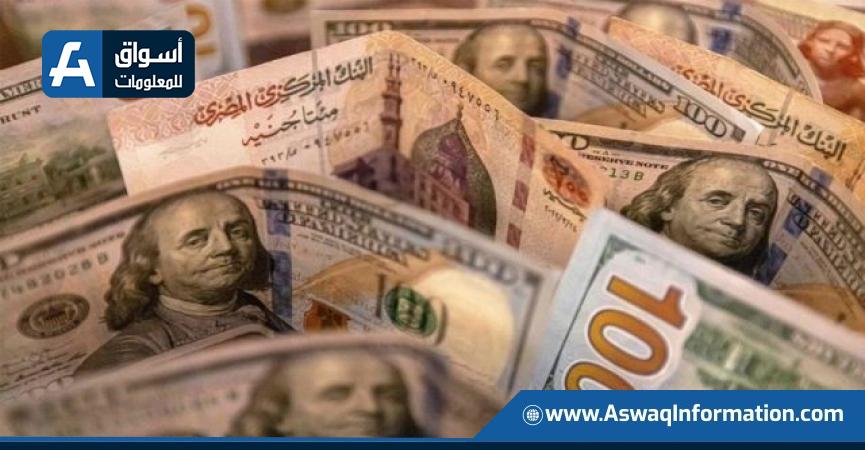 سعر الدولار اليوم