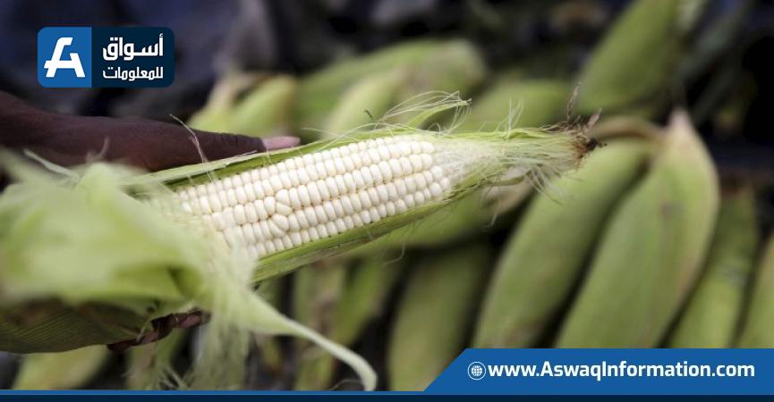 أسعار الذرة العالمية