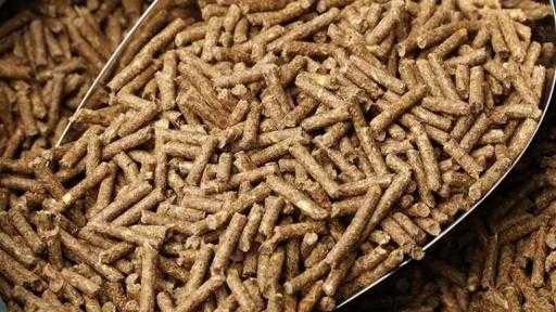 صادرات كسب الصويا البرازيلية تقترب من مستوى قياسي خلال أبريل