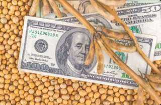 أسعار بذرة الصويا تواصل تراجعها بختام تعاملات بورصة شيكاغو