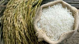أسعار الأرز للجملة اليوم.. طن الشعير «رفيع الحبة» بـ17.000 جنيه