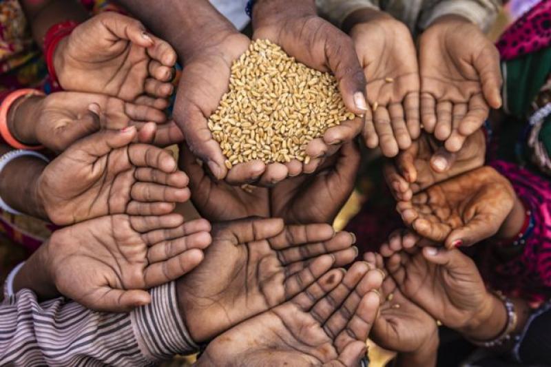 «البنك الدولي» يُعلن أكثر 10 بلدان تضررًا من تضخم الغذاء