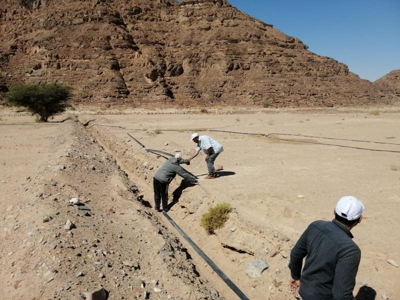 مشروعات تنموية في وادي فيران 