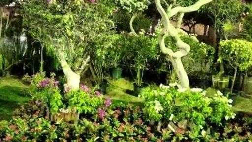 50 شركة ومؤسسة تتقدم للمشاركة بـ”زهور الربيع” في دورته 93 حتى الآن