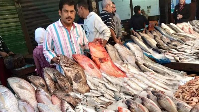 «المركز الدولي للأسماك»: الأسعار ستنخفض في مصر قريبًا