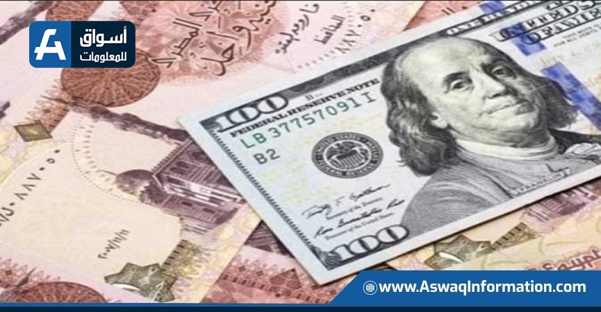 سعر الدولار اليوم