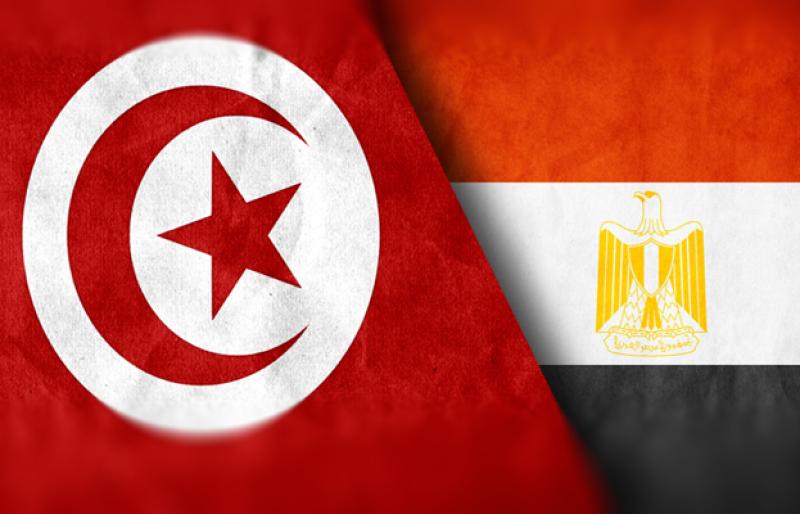 وزير النقل التونسي: محادثات مع مصر لفتح خط بحري مباشر بين البلدين