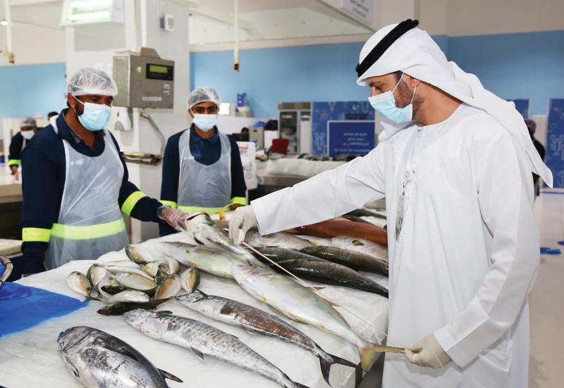 الثروة السمكية في سلطنة عمان - أرشيفية