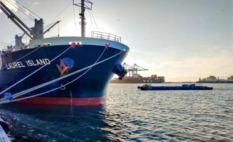 37 عامًا من الإنجازات.. ميناء دمياط يحتفل بذكرى افتتاحه وتشغيله