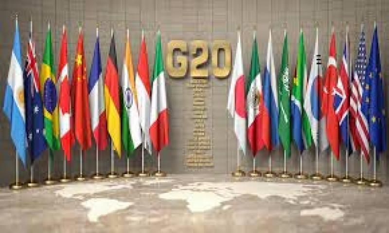 مصر تشارك في اجتماعات مجموعة العشرين بالبرازيل
