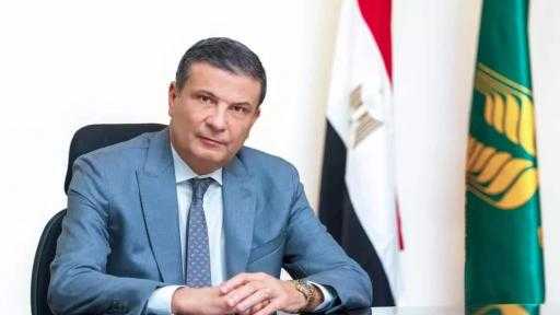 الصادرات الزراعية المصرية تتخطى 6.2 مليون طن.. والموالح في الصدارة الصادرات الزراعية المصرية تتخطى 6.2 مليون طن.. والموالح في الصدارة