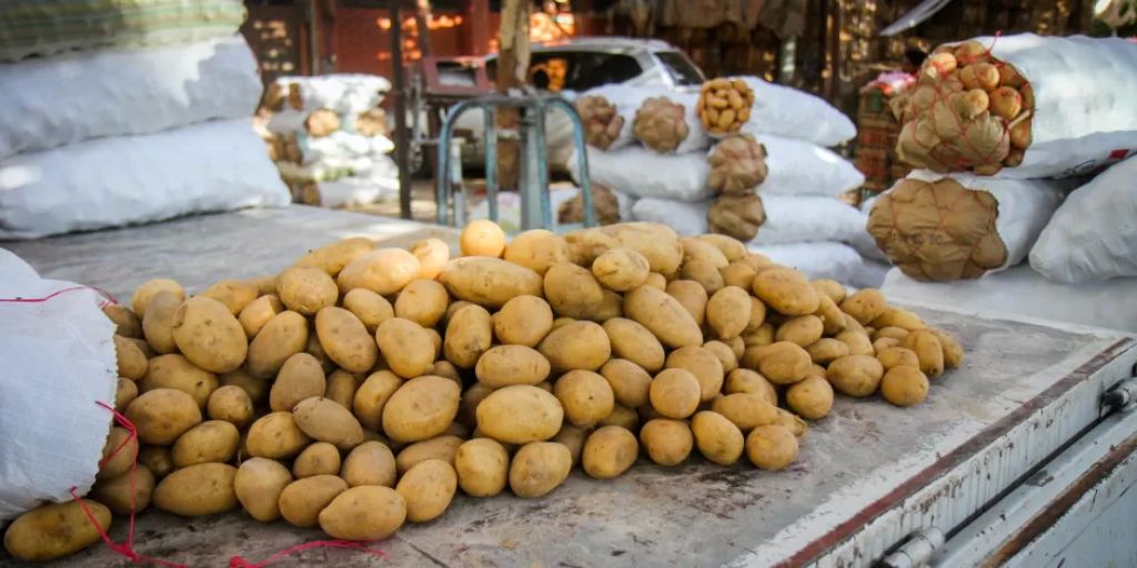 أرشيفية