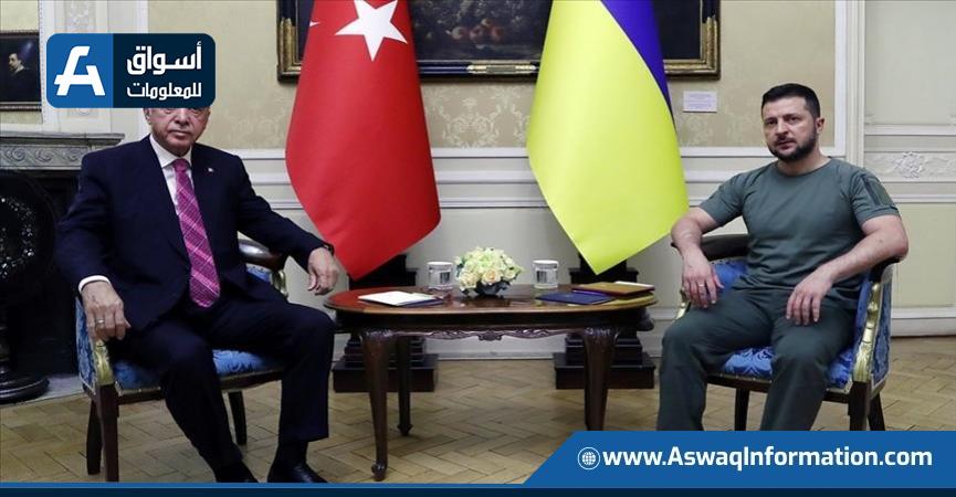 الرئيس الأوكراني ونظيره التركي - أرشيفية