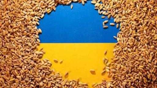 المزارعون في أوكرانيا يبيعون أكثر من 28 مليون طن من الحبوب خلال... المزارعون في أوكرانيا يبيعون أكثر من 28 مليون طن من الحبوب خلال 11 شهراً