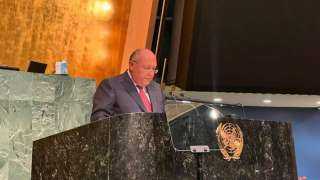 مصر تجدد خطاب «مبادلة الديون» أمام الجمعية العامة للأمم المتحدة