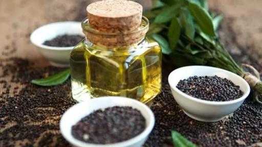 توقعات بإنتاج قياسي لبذور اللفت عالميًا عند 98 مليون طن