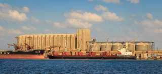 تصدير أطنان من اليوريا والملح والعلف من ميناء دمياط