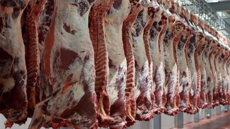 «التموين» توفر منتجات اللحوم الطازجة بمنافذ المجمعات الاستهلاكية بأسعار مخفضة