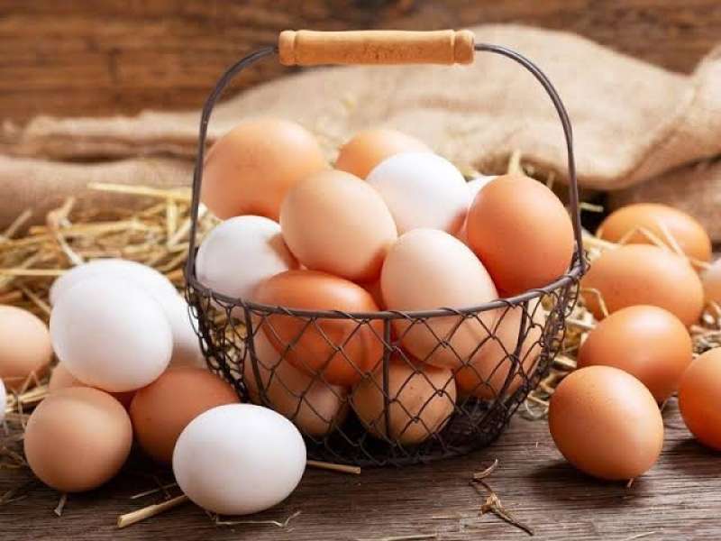 أسعار البيض اليوم الثلاثاء فى الأسواق المصرية