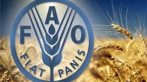 الفاو: موجات الحر تهدد سبل عيش مليار شخص وتدفع الأنظمة الغذائية نحو الانهيار