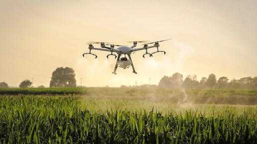 الصين تحذر من محاولات أجنبية لسرقة البيانات الجينية والبذور لتهديد الأمن الغذائي