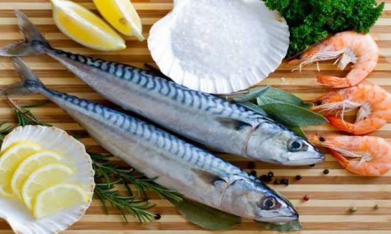 أسعار السمك اليوم الثلاثاء بسوق العبور