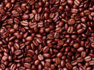 صادرات أوغندا من القهوة تتراجع 2.5% في شهر يناير الماضي