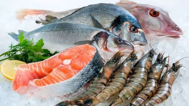 أسعار السمك اليوم بسوق العبور