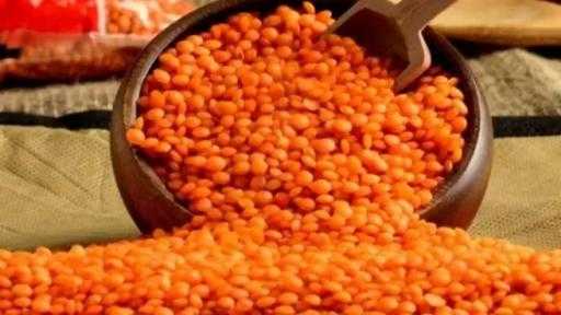 تركيا تزيد وارداتها من العدس بمعدلات كبيرة بعد انخفاض حاد في الإنتاج تركيا تزيد وارداتها من العدس بمعدلات كبيرة بعد انخفاض حاد في الإنتاج