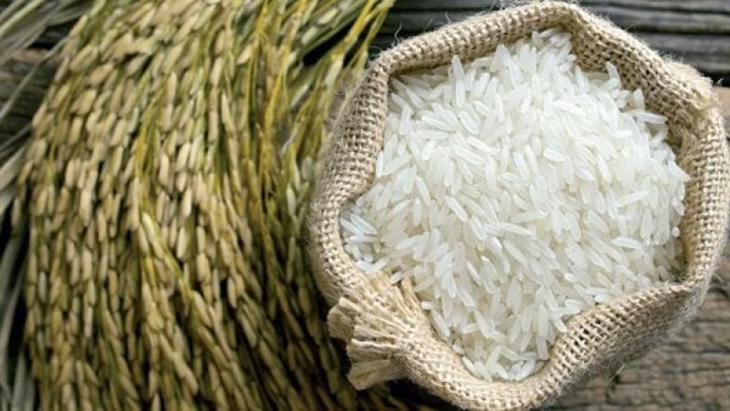 أسعار الأرز اليوم الأحد فى الأسواق المصرية