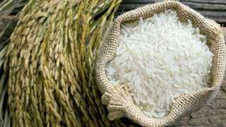 الرز وصل لكام.. أسعار الأرز اليوم الإثنين عند التاجر
