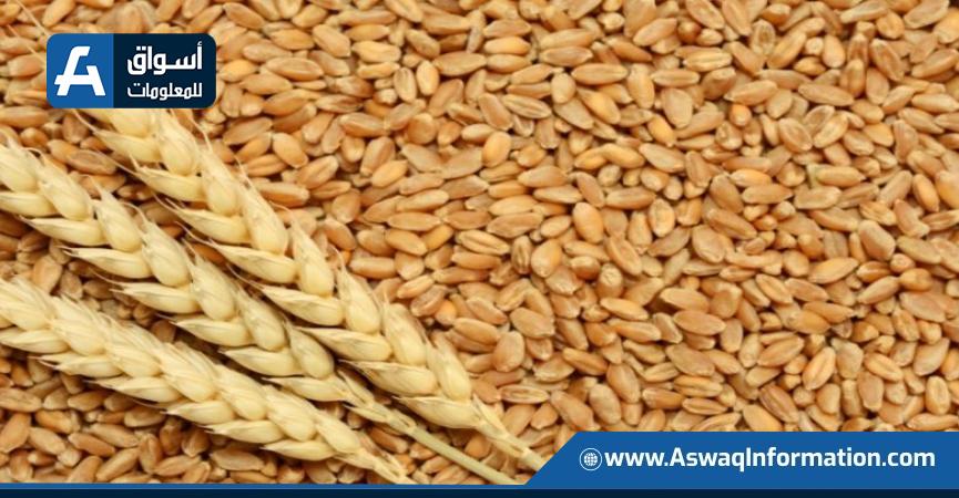 واردات أذربيجان من القمح