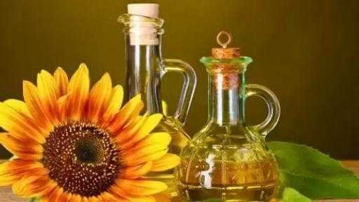 أوكرانيا تضاعف صادرات زيت دوار الشمس خلال أكتوبر