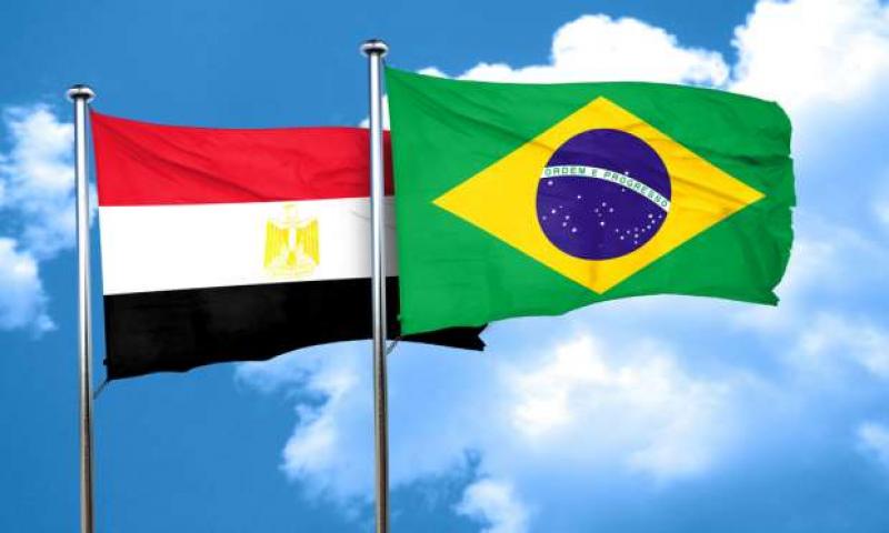 العلاقات المصرية البرازيلية - تعبيرية