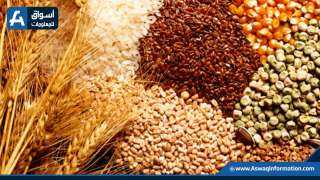 صادرات الحبوب الروسية ترتفع 10.2% خلال الموسم الحالي