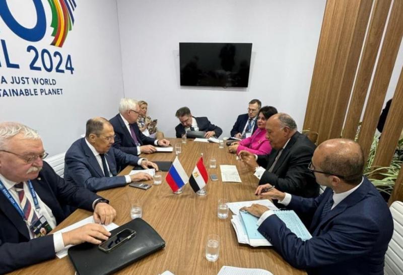 وزير الخارجية: محطة الضبعة أهم مشروعات التعاون مع روسيا