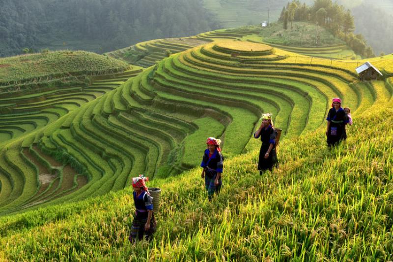 الصين تخصص 830 مليون يوان لدعم جهود الزراعة الربيعية
