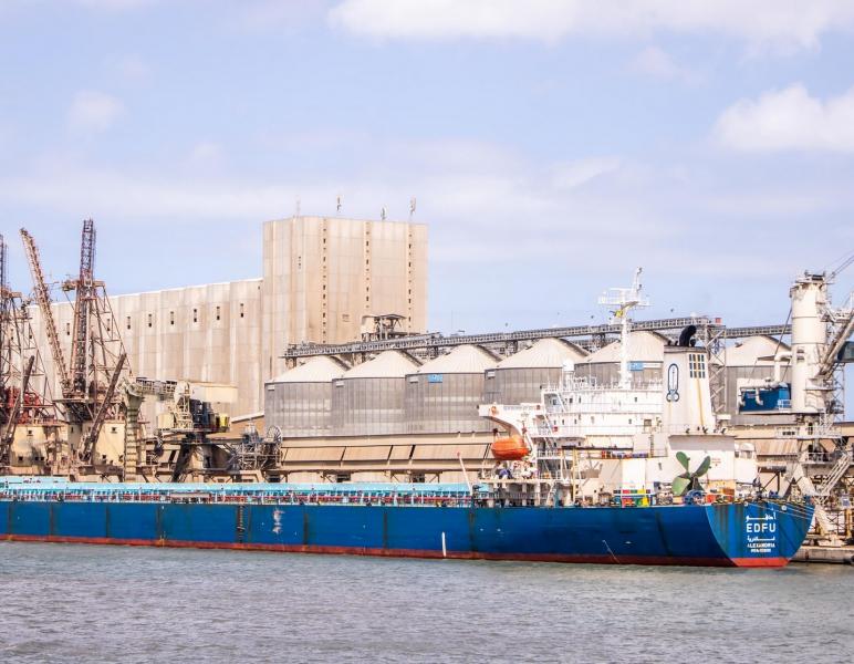 ميناء دمياط يستقبل 63 ألف طن من القمح