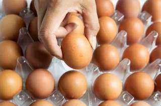 ارتفاع سعر البيض الأبيض.. أسعار البيض اليوم 18 رمضان بالمزرعة