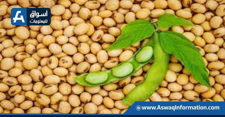 أسعار فول الصويا العالمية