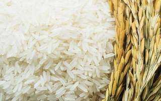 المجلس الدولي للحبوب يتوقع انخفاض الإنتاج العالمي للأرز خلال 2025