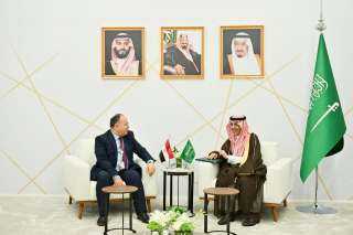وزير المالية يدعو المستثمرين السعوديين للاستفادة من الحوافز المقدمة للقطاع الخاص
