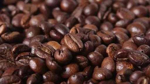 طفرة قياسية في صادرات القهوة الأوغندية بنمو 60% بفضل حصاد وفير في نوفمبر